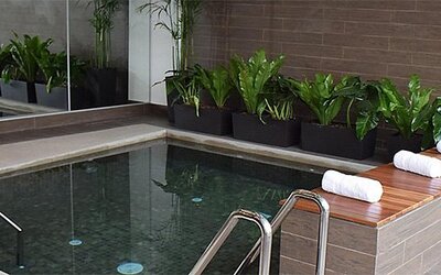 Pool at Holiday Inn Lima Airport featuring tiled surroundings, poolside towels and decorative greenery.