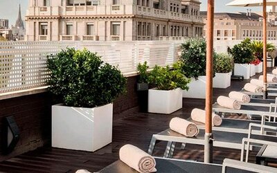 Rooftop terrace featuring sun loungers, umbrellas, planters and city views at NH Collection Barcelona Pódium.