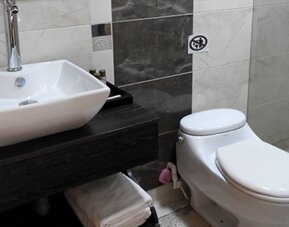 Modern bathroom featuring a vessel sink, toilet and glass-enclosed shower at Hotel Airport Travel.