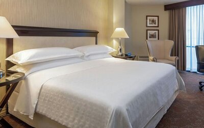 Comfortable guest room featuring a king-size bed, plush seating and a dedicated workspace at Sheraton Houston Brookhollow Hotel.