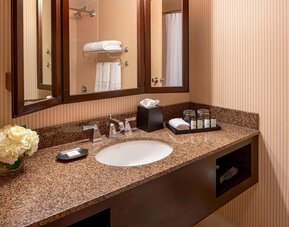 Contemporary bathroom featuring a granite vanity, premium toiletries and framed mirrors at Sheraton Houston Brookhollow Hotel.