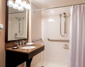 Accessible bathroom featuring a roll-in shower, safety grab bars and a granite vanity at Sheraton Houston Brookhollow Hotel.