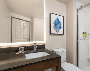 Contemporary bathroom featuring a walk-in glass shower, an illuminated vanity mirror and modern finishes at Candlewood Suites Meridian.