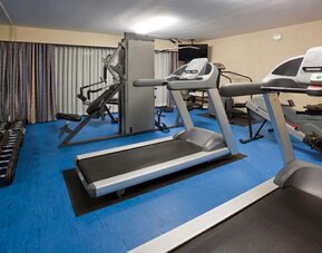 Fitness center featuring treadmills, strength-training equipment and free weights for a complete workout experience at Holiday Inn Toronto Airport East.
