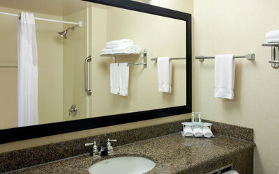 Bathroom featuring a large granite vanity, a wall-mounted mirror and a shower with grab bars at Holiday Inn Express SFO Airport North.