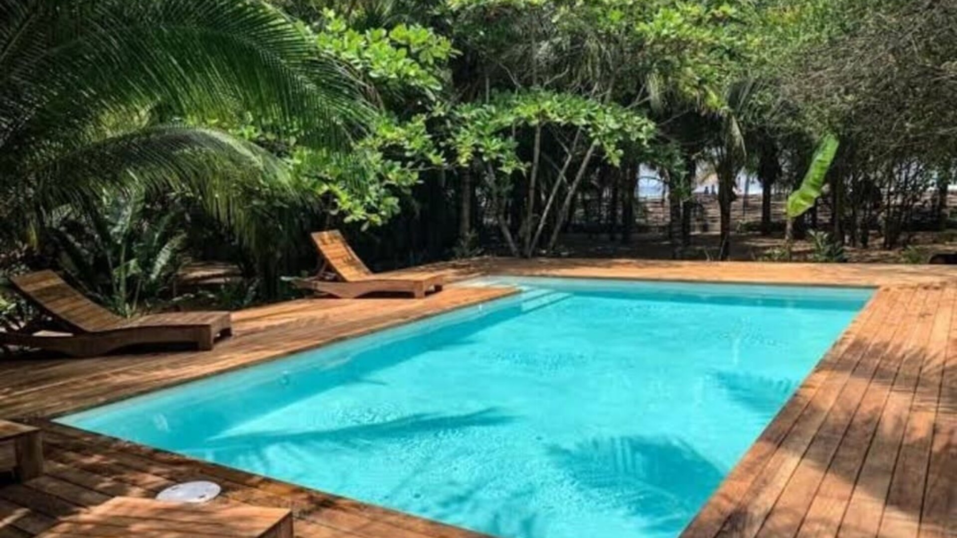 Rectangular turquoise outdoor swimming pool surrounded by a wooden deck, sun loungers, dense tropical greenery, and tall palm trees providing natural shade.