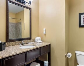 Bathroom vanity with a granite countertop, framed mirror, and separate shower area at Comfort Suites Frisco.