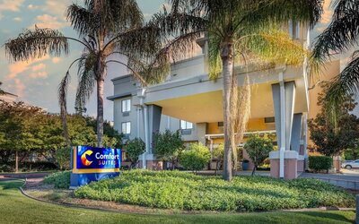 Exterior view of the hotel entrance surrounded by palm trees and landscaped grounds at Comfort Suites Vacaville-Napa Valley Area.