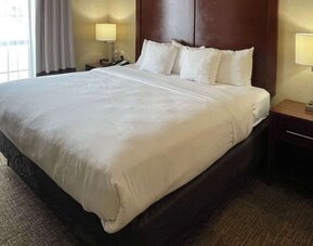King guest room with a large bed, white bedding, bedside tables, and lamps at Comfort Suites San Antonio SeaWorld - Lackland AFB.