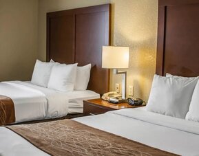 Guest room with two beds, white bedding, wooden headboards, bedside table, lamp, and alarm clock at Comfort Suites San Antonio SeaWorld - Lackland AFB.