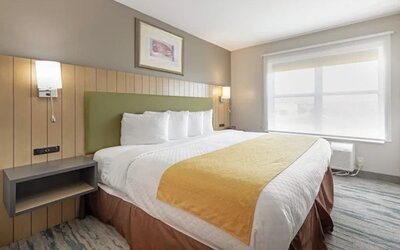 Guest room with king bed, white bedding, green upholstered headboard, bedside lighting, and large window at SureStay by Best Western Lewisville Dallas.