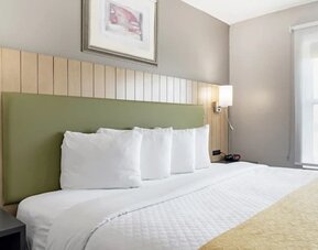 Close-up of king bed with white bedding, green upholstered headboard, bedside lighting, and large window at SureStay by Best Western Lewisville Dallas.