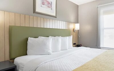 Close-up of king bed with white bedding, green upholstered headboard, bedside lighting, and large window at SureStay by Best Western Lewisville Dallas.