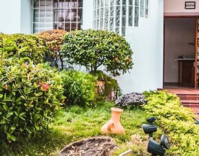 Exterior entrance and landscaped garden with tropical greenery and seating at Múcura Hotel & Spa.