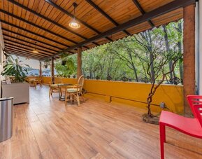 Covered outdoor terrace featuring casual seating, wood flooring, and views of surrounding leafy trees at Casa Anzures Suites.