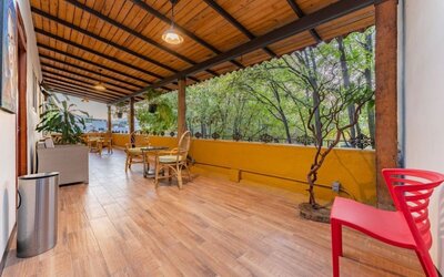 Covered outdoor terrace featuring casual seating, wood flooring, and views of surrounding leafy trees at Casa Anzures Suites.