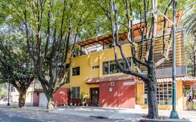 Colourful street-facing exterior surrounded by mature trees at Casa Anzures Suites.