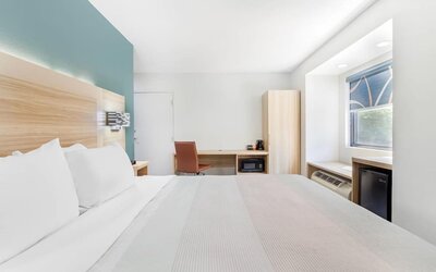Contemporary king room with white bedding, large wall-mounted TV, work desk, mini fridge, microwave, and window bench.