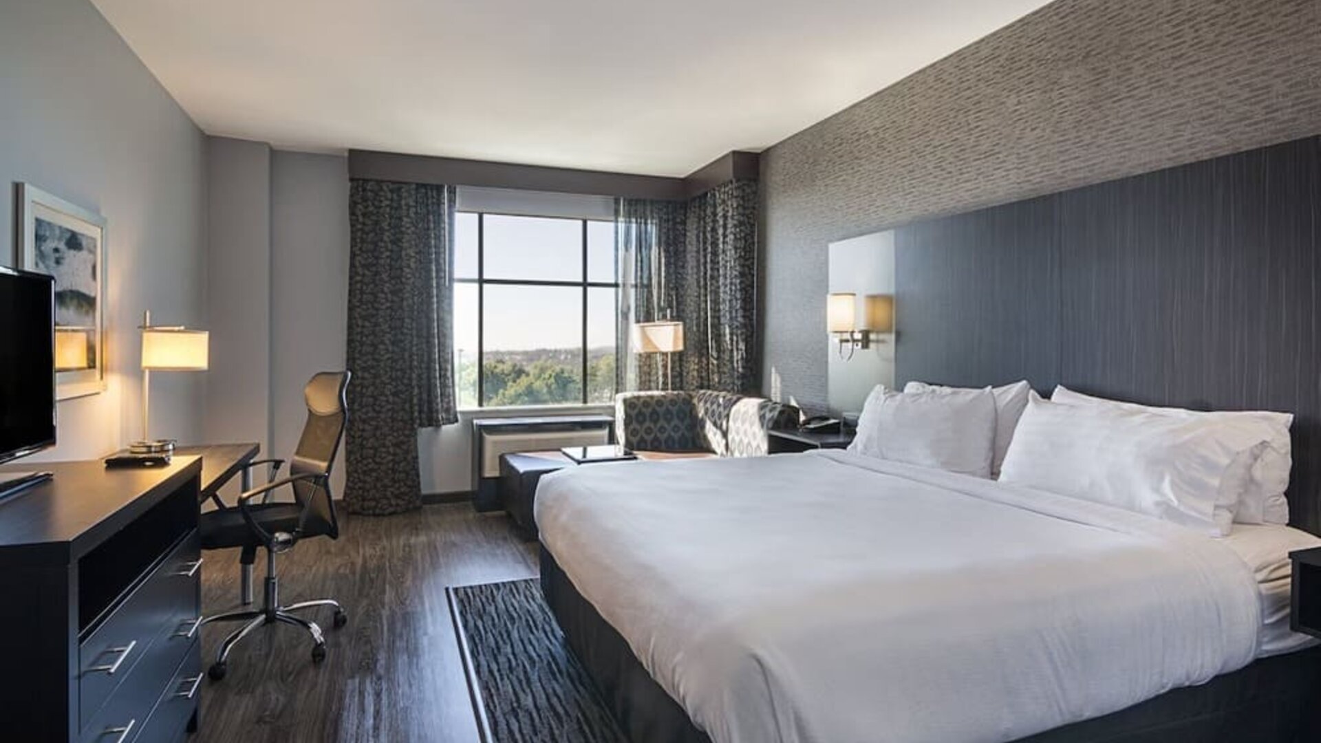 Bright king guest room featuring a comfortable bed, workspace, seating area, and ample natural light at Holiday Inn & Suites Silicon Valley - Milpitas.