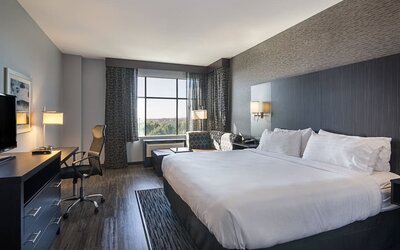 Bright king guest room featuring a comfortable bed, workspace, seating area, and ample natural light at Holiday Inn & Suites Silicon Valley - Milpitas.