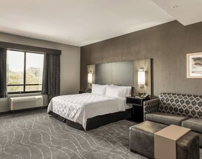 Spacious king room featuring a comfortable bed, sofa seating, large window, and modern furnishings at Holiday Inn & Suites Silicon Valley - Milpitas.
