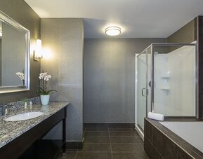 Spacious guest bathroom featuring a granite vanity, large mirror, walk-in shower, and separate bathtub at Holiday Inn & Suites Silicon Valley - Milpitas.