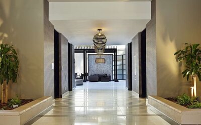 Contemporary hotel corridor and lobby area featuring decorative lighting, indoor greenery, and modern design at Embassy Suites by Hilton Crystal City National Airport.