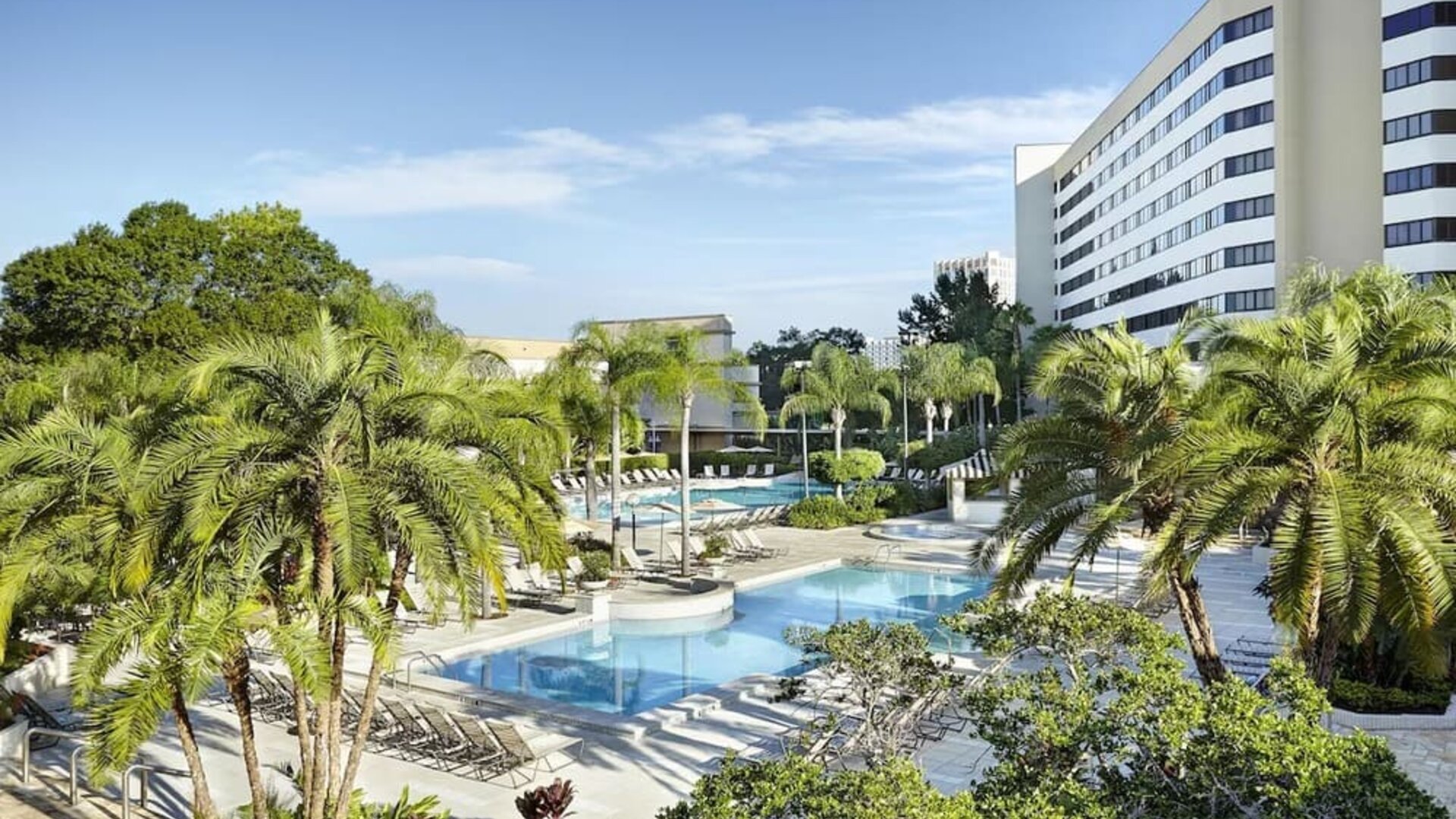 Outdoor pool, palm trees, and hotel exterior. 