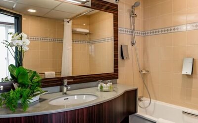 Bathroom with a bathtub and shower, large mirror, vanity sink, toiletries, and decorative plant at Holiday Inn Toulouse Airport.