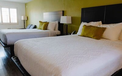 Guest room with two beds, white bedding, green accent wall, bedside lamps, and a window with natural light at Western Inn.Guest room with two beds, white bedding, green accent wall, bedside lamps, and a window with natural light at Western Inn.
