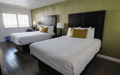 Guest room with two beds, white bedding, green accent wall, dark wood flooring, bedside lamps, and large windows at Western Inn.