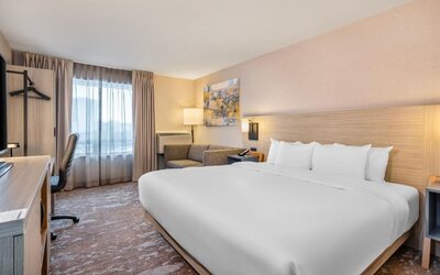 Bright king guest room featuring a large bed with white linens, a light wood headboard, bedside lighting, a desk and office chair, a sofa, and sheer curtains allowing natural light into the room at Comfort Inn Alma.