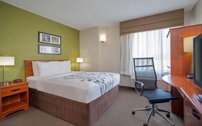 Bright Sleep Inn king room featuring a large bed with white bedding and gray floral detailing, green accent wall, framed artwork, wooden bedside tables, modern lamps, spacious work desk, black mesh office chair, and a window with sheer curtains.