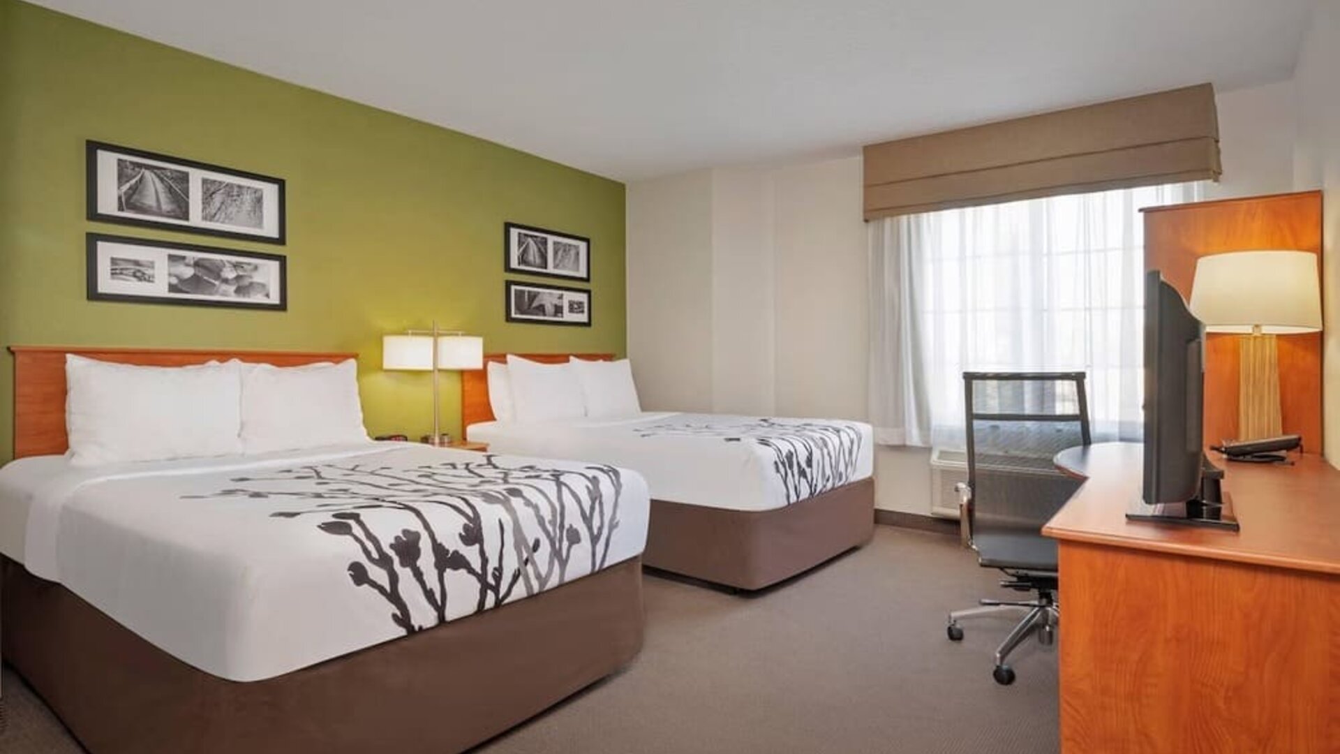 Spacious Sleep Inn guest room featuring two beds with crisp white linens and decorative gray floral patterns, a green accent wall with framed black-and-white artwork, wooden furniture, a flat-screen television, work desk, ergonomic office chair, and a lar