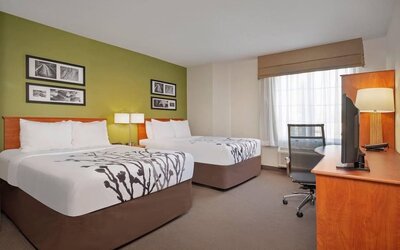 Spacious Sleep Inn guest room featuring two beds with crisp white linens and decorative gray floral patterns, a green accent wall with framed black-and-white artwork, wooden furniture, a flat-screen television, work desk, ergonomic office chair, and a lar