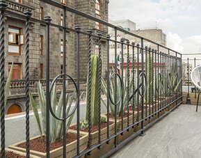 Rooftop terrace with decorative metal railings, potted succulents and a white woven chair at Hotel Principal.