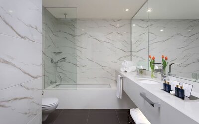 Bathroom with marble-effect walls, bathtub, glass shower screen and double vanity at Lady Stern Hotel.