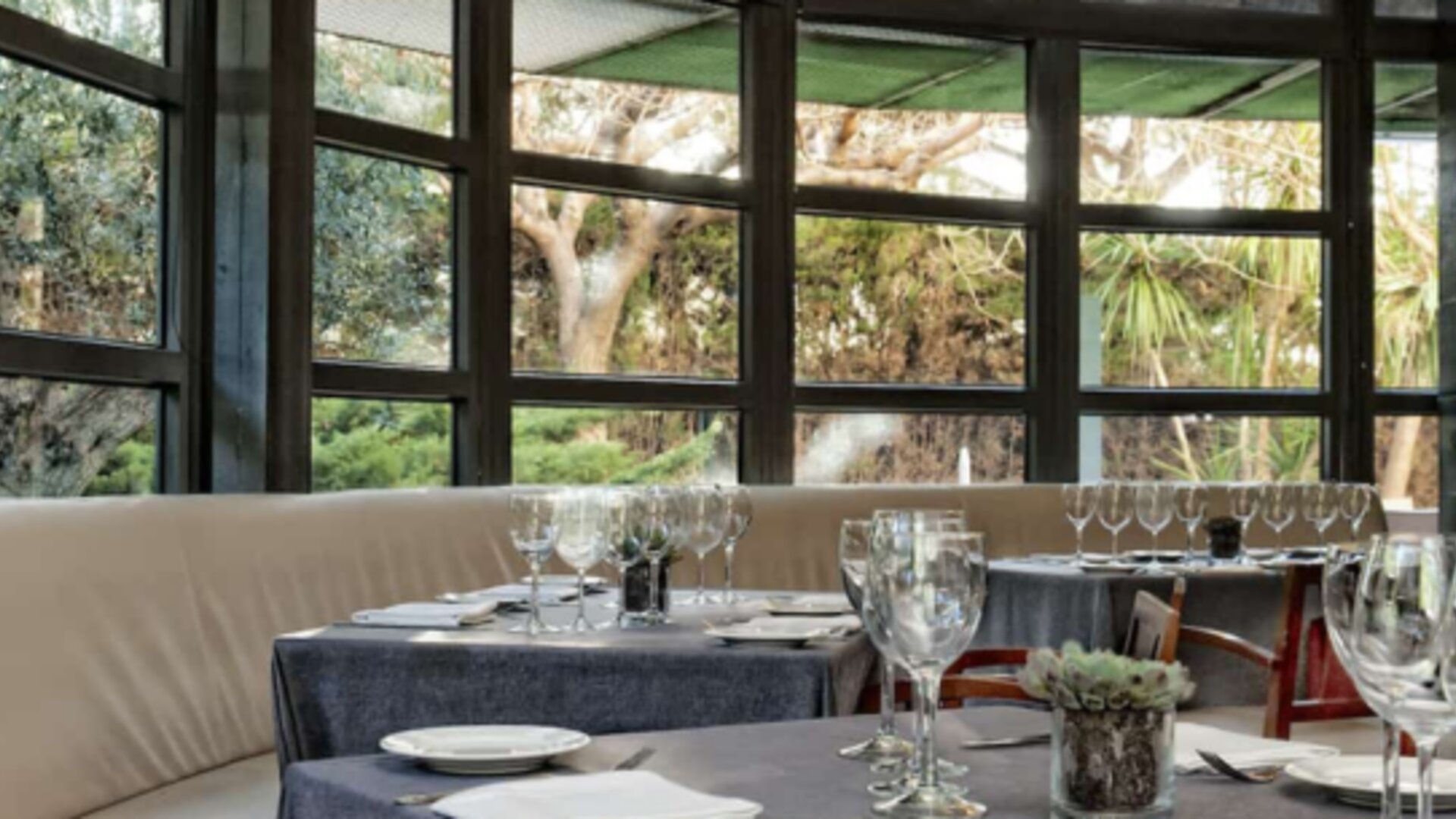 Restaurant seating area with tables, white tablecloths, glass partitions and views of the surrounding garden at Hotel Best Western PLUS Alfa Aeropuerto.