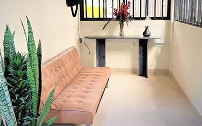 Sitting area with pink upholstered sofa, decorative cushions, tall potted plants and a small console table at 12 Nights Hotel.