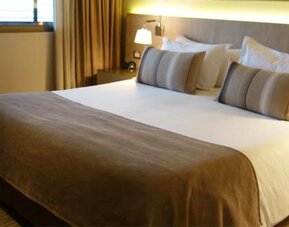 Hotel Los Españoles Plus