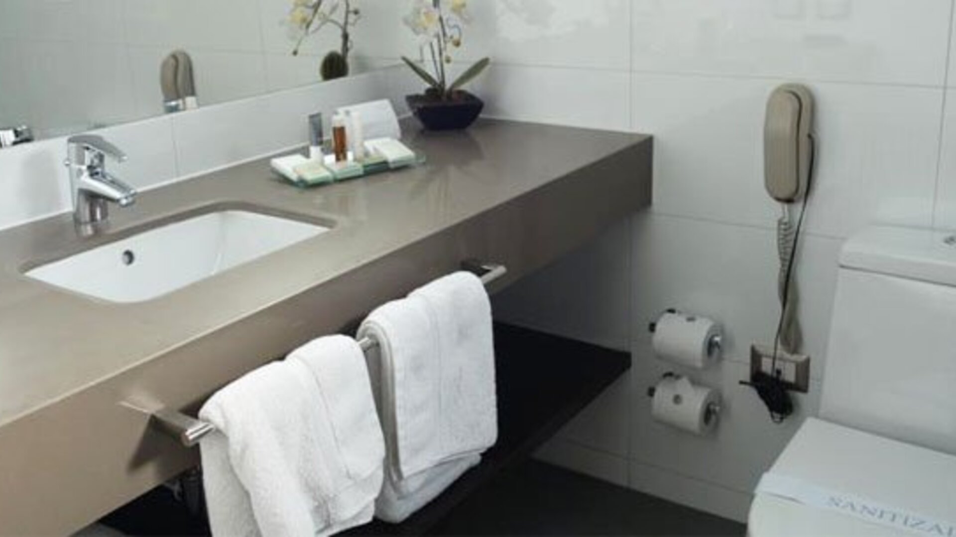 Hotel Los Españoles Plus