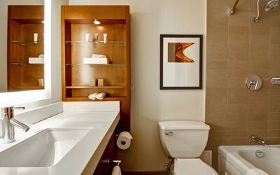 Private guest bathroom with shower and tub at Hilton Mississauga Meadowvale.