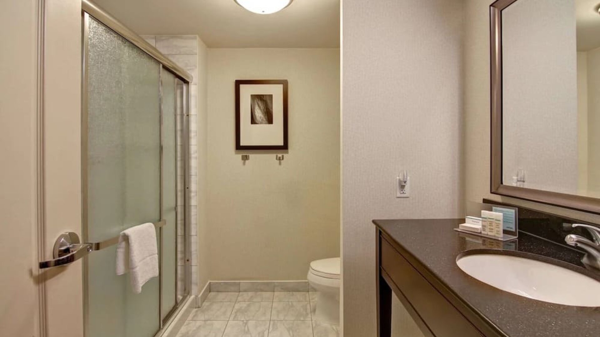 Private guest bathroom with shower at Hampton Inn By Hilton Toronto Airport Corporate Centre.