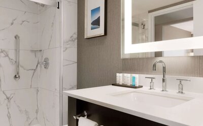 Private guest bathroom with shower and free toiletries at the Embassy Suites By Hilton Toronto Airport.