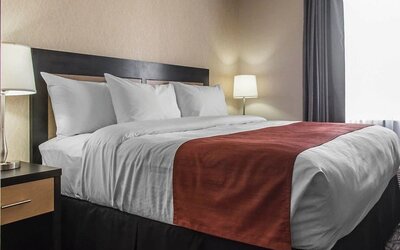 King bed at Quality Inn & Suites Kingston.