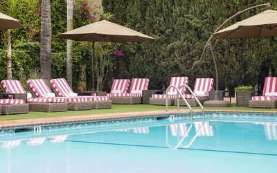 Sun loungers beside pool at Hollywood Hotel.