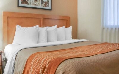 King bed at Comfort Inn Winnipeg II South.