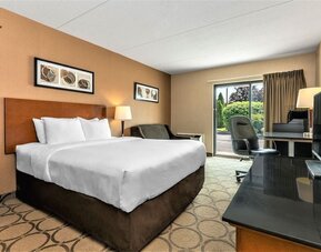 Standard day use room with TV, work desk and private bathroom at Comfort Inn Prince Albert.