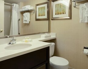 Guest bathroom with showers and free toiletries at Holiday Inn Conference Center Edmonton South.