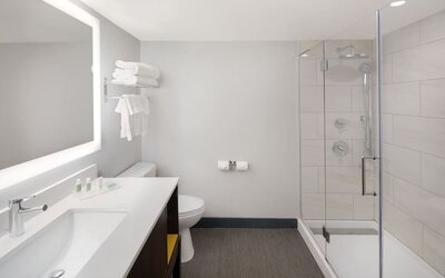 Guest bathroom with shower at Holiday Inn Orlando SW - Celebration Area.